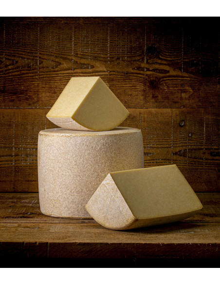 Cantal Jeune AOP