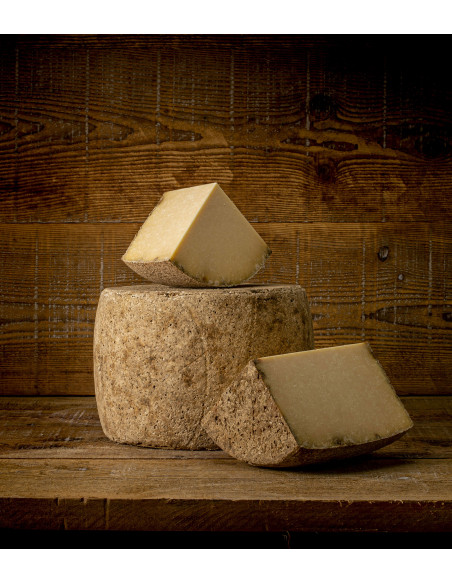 Cantal Vieux AOP Tunnel