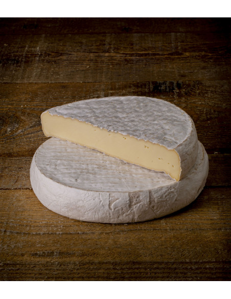 Saint-Nectaire Laitier AOP